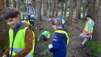Wald074