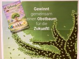 Autofasten061