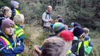 Wald051