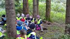 Wald085