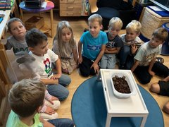 Schildkroeten008